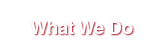 What We Do